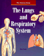 The Lungs and Respiratory System