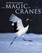 The Magic of Cranes