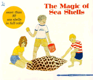 The Magic of Sea Shells