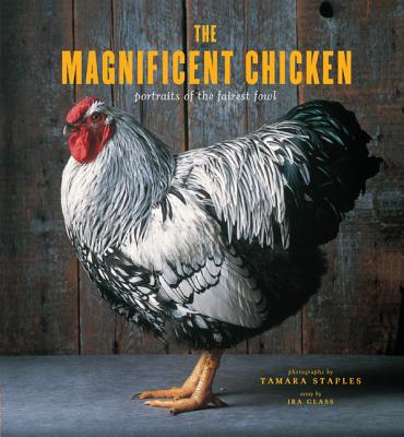 The Magnificent Chicken - Staples, Tamara (Photographer), and Glass, Ira (Introduction by)