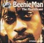 The Magnificent