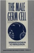 The Male Germ Cell: Spermatogonium to Fertilization
