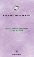 The Many Faces of RNA