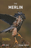The Merlin: The Ecology of a Magical Raptor