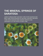 The Mineral Springs of Saratoga