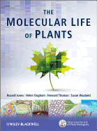 The Molecular Life of Plants