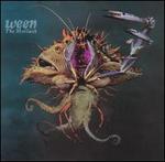 The Mollusk