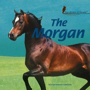 The Morgan