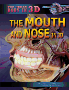 The Mouth and Nose in 3D