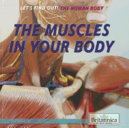 The Muscles in Your Body