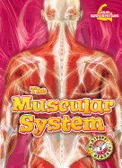 The Muscular System