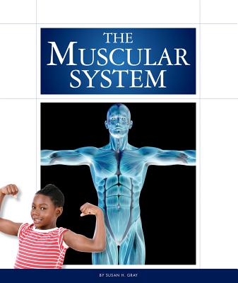 The Muscular System - Gray, Susan H