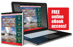 The Mystery at Yellowstone National Park