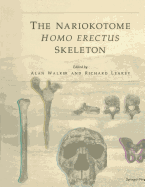 The Nariokotome Homo Erectus Skeleton