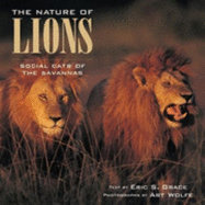 The Nature of Lions