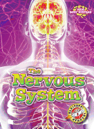 The Nervous System