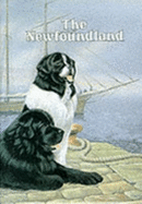 The Newfoundland