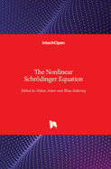 The Nonlinear Schr�dinger Equation