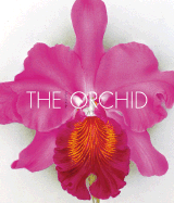 The Orchid