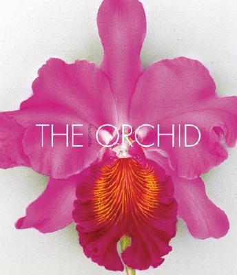 The Orchid - Griffiths, Mark