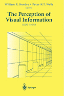 The Perception of Visual Information