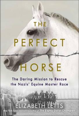 The Perfect Horse - Letts, Elizabeth
