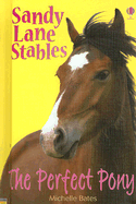 The Perfect Pony
