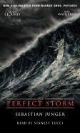 The Perfect Storm