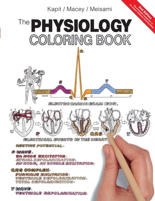 The Physiology Coloring Book - Kapit, Wynn, and Macey, Robert, and Meisami, Esmail