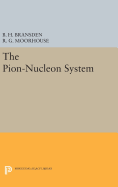 The Pion-Nucleon System