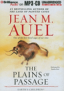 The Plains of Passage