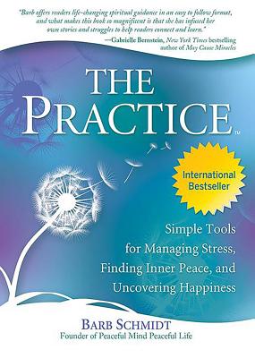 The Practice - Schmidt, Barb