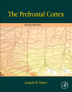 The Prefrontal Cortex