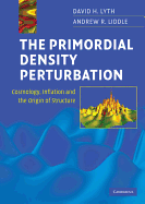 The Primordial Density Perturbation
