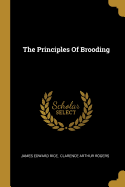 The Principles Of Brooding