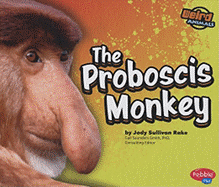 The Proboscis Monkey