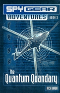 The Quantum Quandary