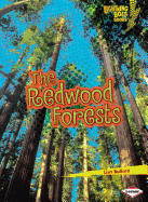 The Redwood Forests