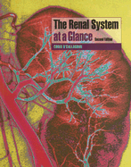 The Renal System at a Glance