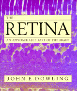 The Retina: An Approachable Part of the Brain