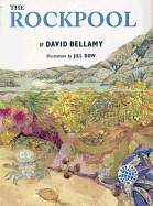 The Rockpool
