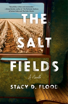 The Salt Fields - Flood, Stacy