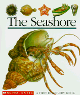 The Seashore