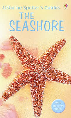 The Seashore - Swallow, Su