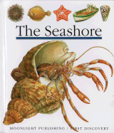 The Seashore