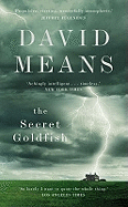The Secret Goldfish