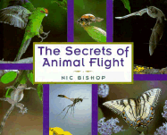The Secrets of Animal Flight