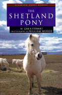 The Shetland Pony