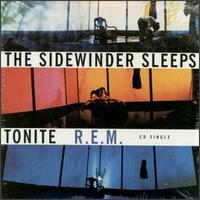 The Sidewinder Sleeps Tonite - R.E.M.