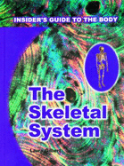 The Skeletal System